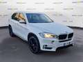 BMW X5 (F15/85) xDrive25d Luxury Bianco - thumbnail 21