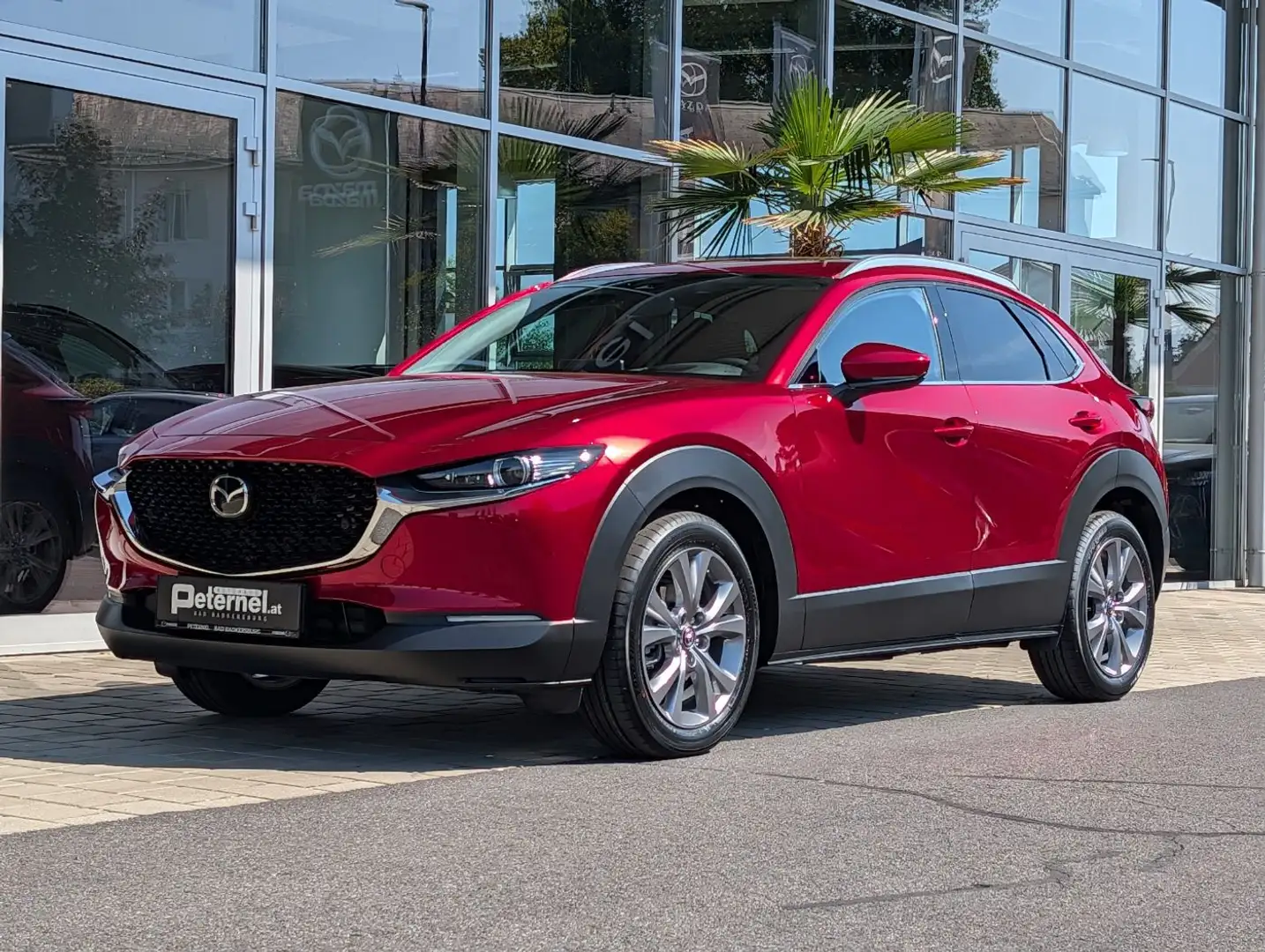 Mazda CX-30 2.5 G140 6AT EXCLUSIVE LINE Rot - 2
