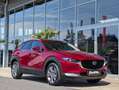 Mazda CX-30 2.5 G140 6AT EXCLUSIVE LINE Rot - thumbnail 9