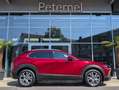Mazda CX-30 2.5 G140 6AT EXCLUSIVE LINE Rot - thumbnail 8