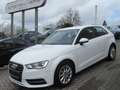 Audi A3 attraction- Klima-SHZ-PDC-16"Alu-SH-AWR-1.Hand Weiß - thumbnail 6