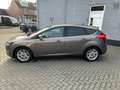 Ford Focus 1.0 EcoBoost | KEYLESS | NAVI | CLIMA | PDC | Marrone - thumbnail 7