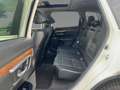 Honda CR-V 2.0 Executive 4WD Hybrid Navi LED Panoramadach Led Blanc - thumbnail 9