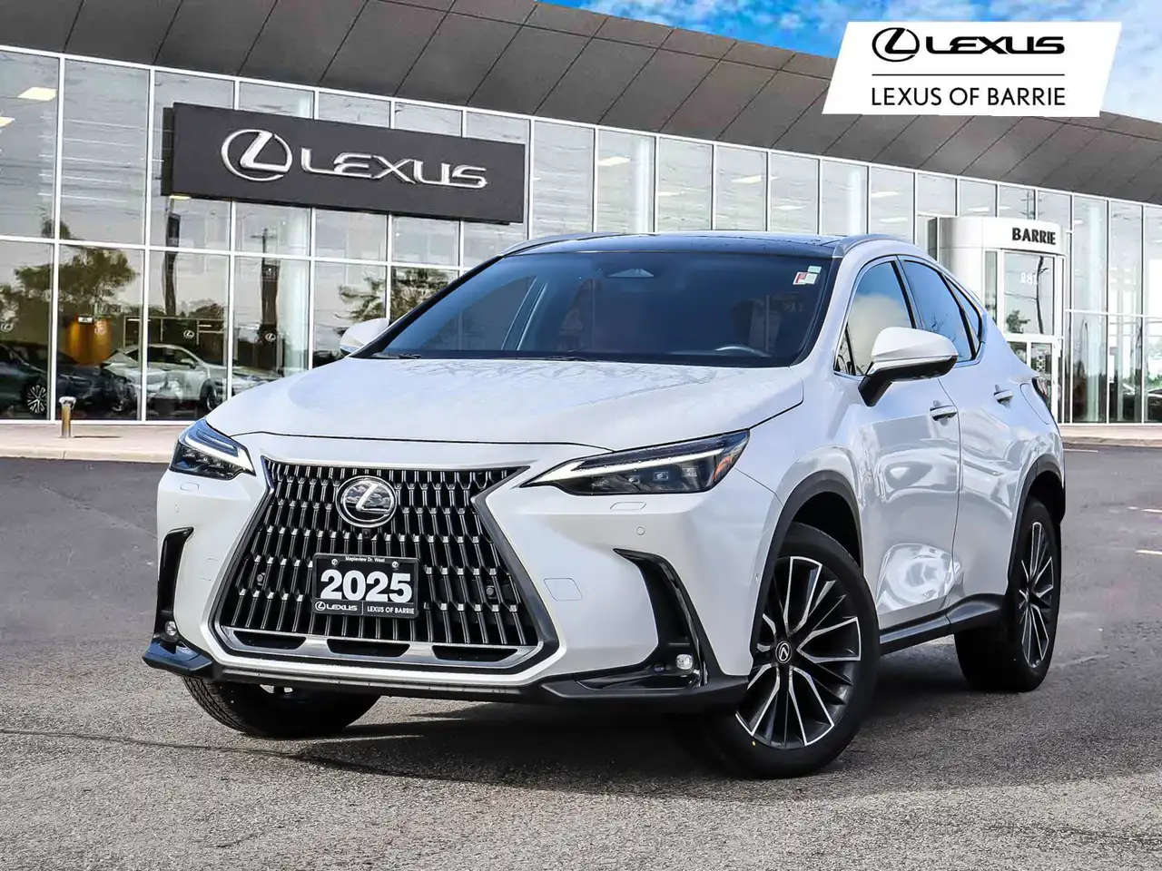 2025 Lexus NX