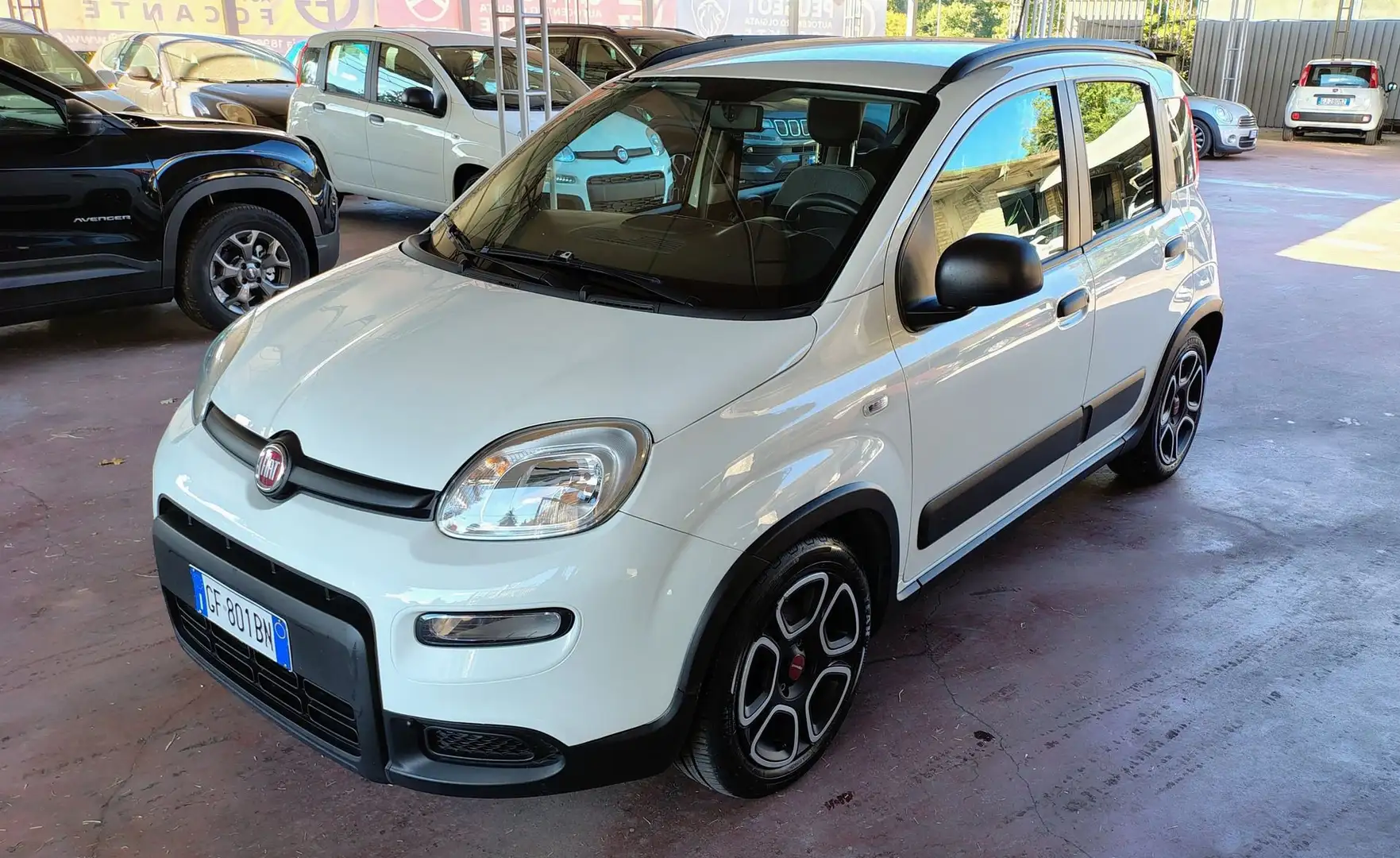 Fiat Panda 1.0 FireFly S&S Hybrid City Life Weiß - 1