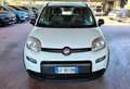 Fiat Panda 1.0 FireFly S&S Hybrid City Life Weiß - thumbnail 3