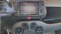 Fiat Panda 1.0 FireFly S&S Hybrid City Life Weiß - thumbnail 14