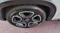 Fiat Panda 1.0 FireFly S&S Hybrid City Life Weiß - thumbnail 13
