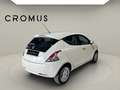 Lancia Ypsilon 1.2 Gold 69cv - thumbnail 4