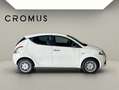 Lancia Ypsilon 1.2 Gold 69cv - thumbnail 1