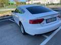 Audi A5 Sportback 2.0 tdi Bianco - thumbnail 4