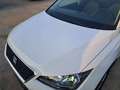 SEAT Arona 1.0 TSI 85kW (115CV) Eco Style Edition Blanco - thumbnail 15