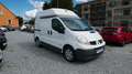 Renault Trafic Kasten L1H2 2,9t/NAVI/Regalsystem Weiß - thumbnail 3
