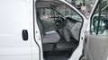 Renault Trafic Kasten L1H2 2,9t/NAVI/Regalsystem Weiß - thumbnail 13
