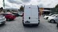 Renault Trafic Kasten L1H2 2,9t/NAVI/Regalsystem Weiß - thumbnail 6