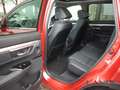 Honda CR-V 2.0 i-MMD HYBRID 4WD Aut. Executive HUD El. Panoda Rouge - thumbnail 10