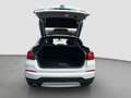BMW X4 xDrive20d +nur an Händler/Export+ Alb - thumbnail 9