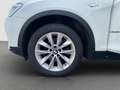 BMW X4 xDrive20d +nur an Händler/Export+ Alb - thumbnail 16