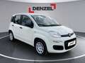Fiat Pandina Icon MY25 Weiß - thumbnail 5