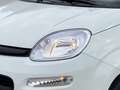 Fiat Pandina Icon MY25 Weiß - thumbnail 6