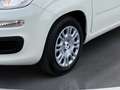 Fiat Pandina Icon MY25 Weiß - thumbnail 7