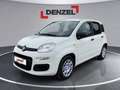 Fiat Pandina Icon MY25 Weiß - thumbnail 1