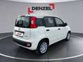 Fiat Pandina Icon MY25 Weiß - thumbnail 4