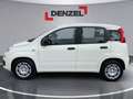 Fiat Pandina Icon MY25 Weiß - thumbnail 2
