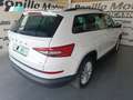 Skoda Kodiaq 2.0TDI AB tech Ambition 4x4 DSG 110kW Blanco - thumbnail 7