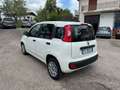 Fiat Panda 1.3 mjt 80cv Bianco - thumbnail 5