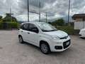 Fiat Panda 1.3 mjt 80cv Bianco - thumbnail 1