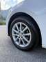 SEAT Leon 5p 1.6 tdi cr Business 105cv - thumbnail 7