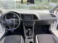 SEAT Leon 5p 1.6 tdi cr Business 105cv - thumbnail 9