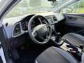 SEAT Leon 5p 1.6 tdi cr Business 105cv - thumbnail 8