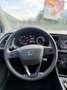 SEAT Leon 5p 1.6 tdi cr Business 105cv - thumbnail 11