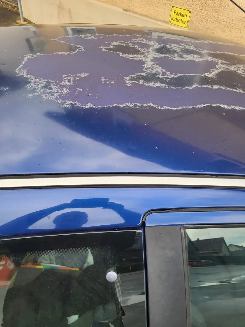 Peugeot 206 60 Filou Blau - 2