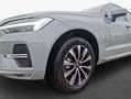 Volvo XC60 XC60 B5 B AWD Core Grau - thumbnail 7