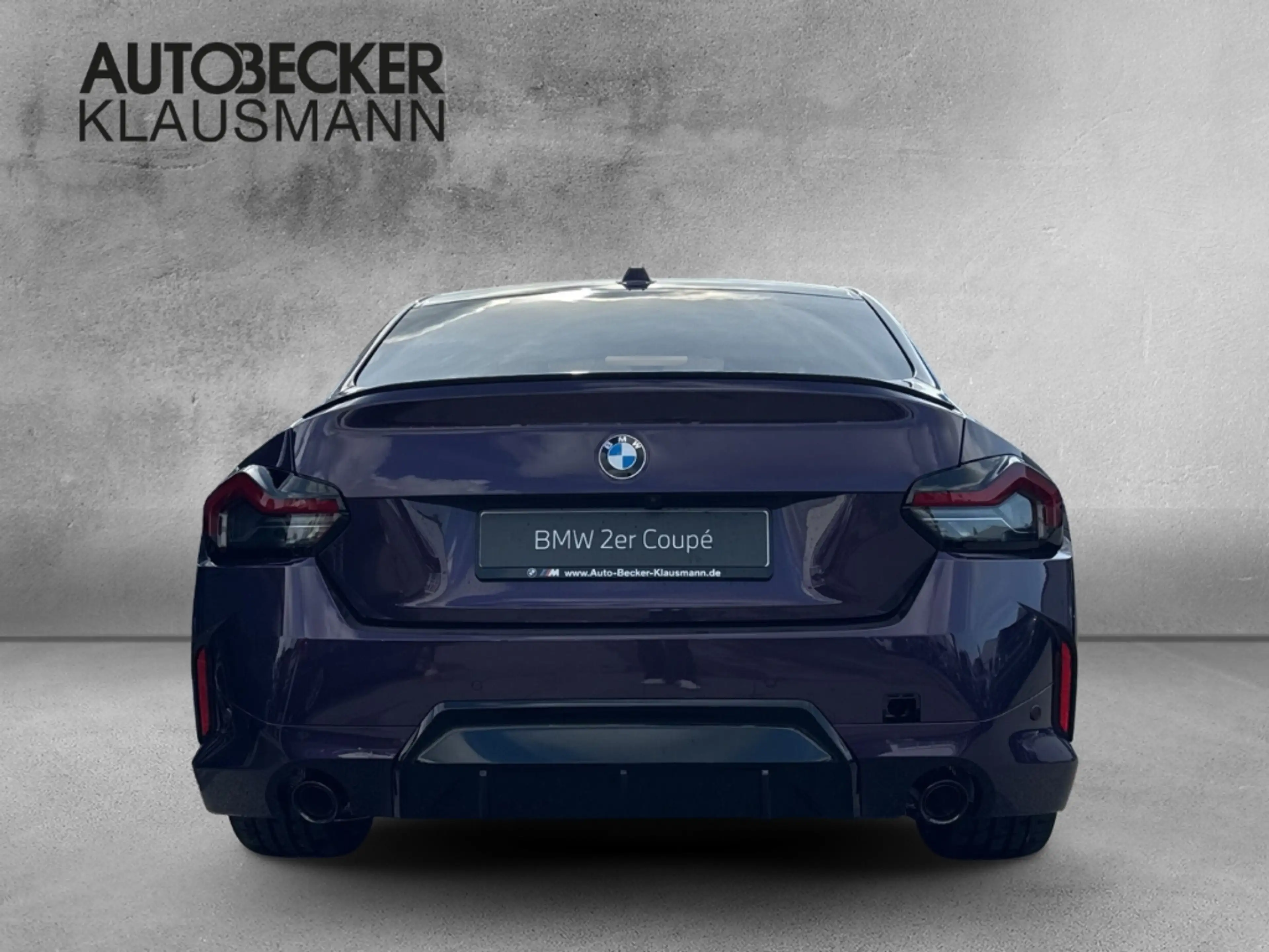 BMW 230 i Coupe M Sport Pro LMR 19'' HUD Navi Digitales Co — photo 6