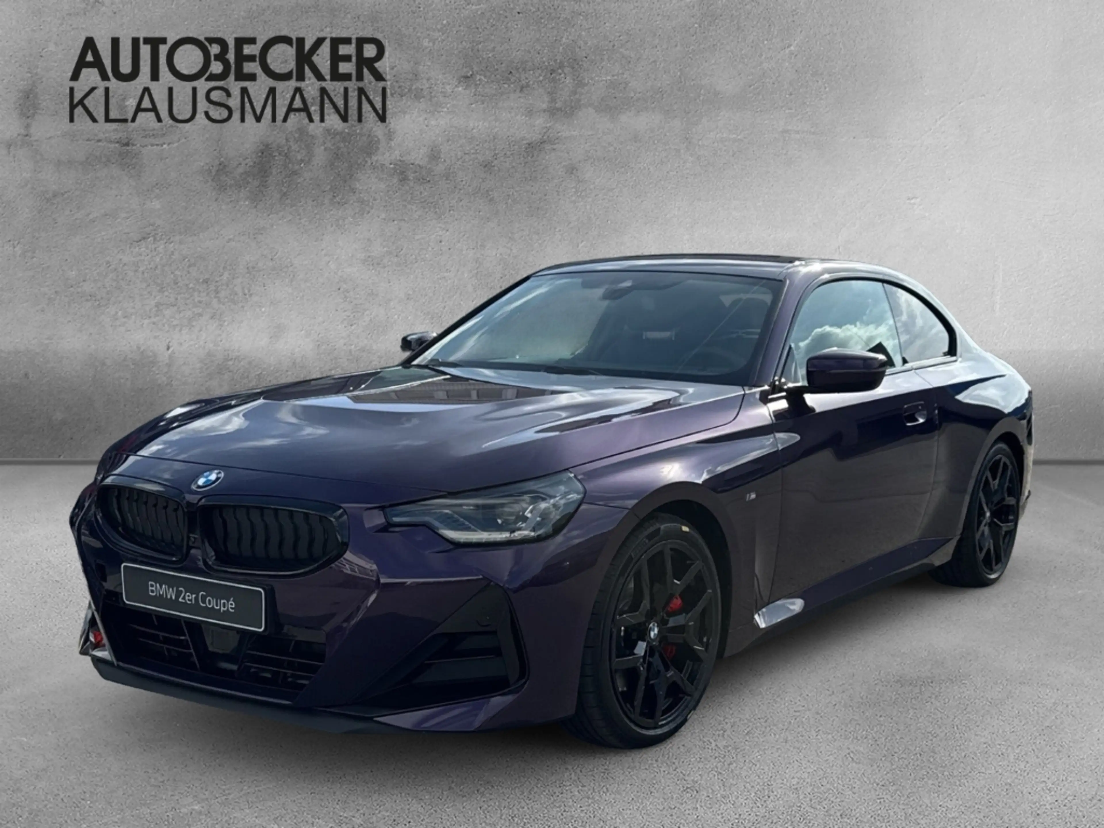 BMW 230 i Coupe M Sport Pro LMR 19'' HUD Navi Digitales Co