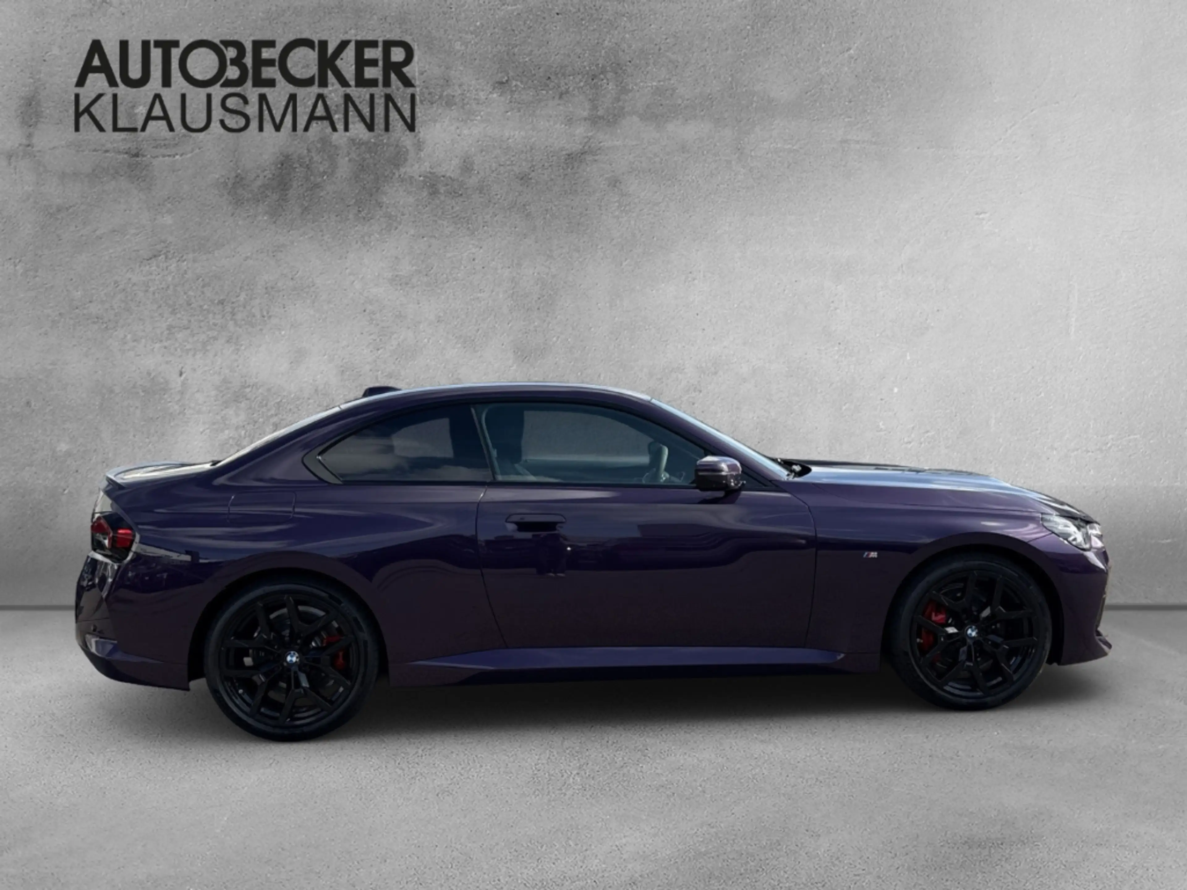 BMW 230 i Coupe M Sport Pro LMR 19'' HUD Navi Digitales Co — photo 4