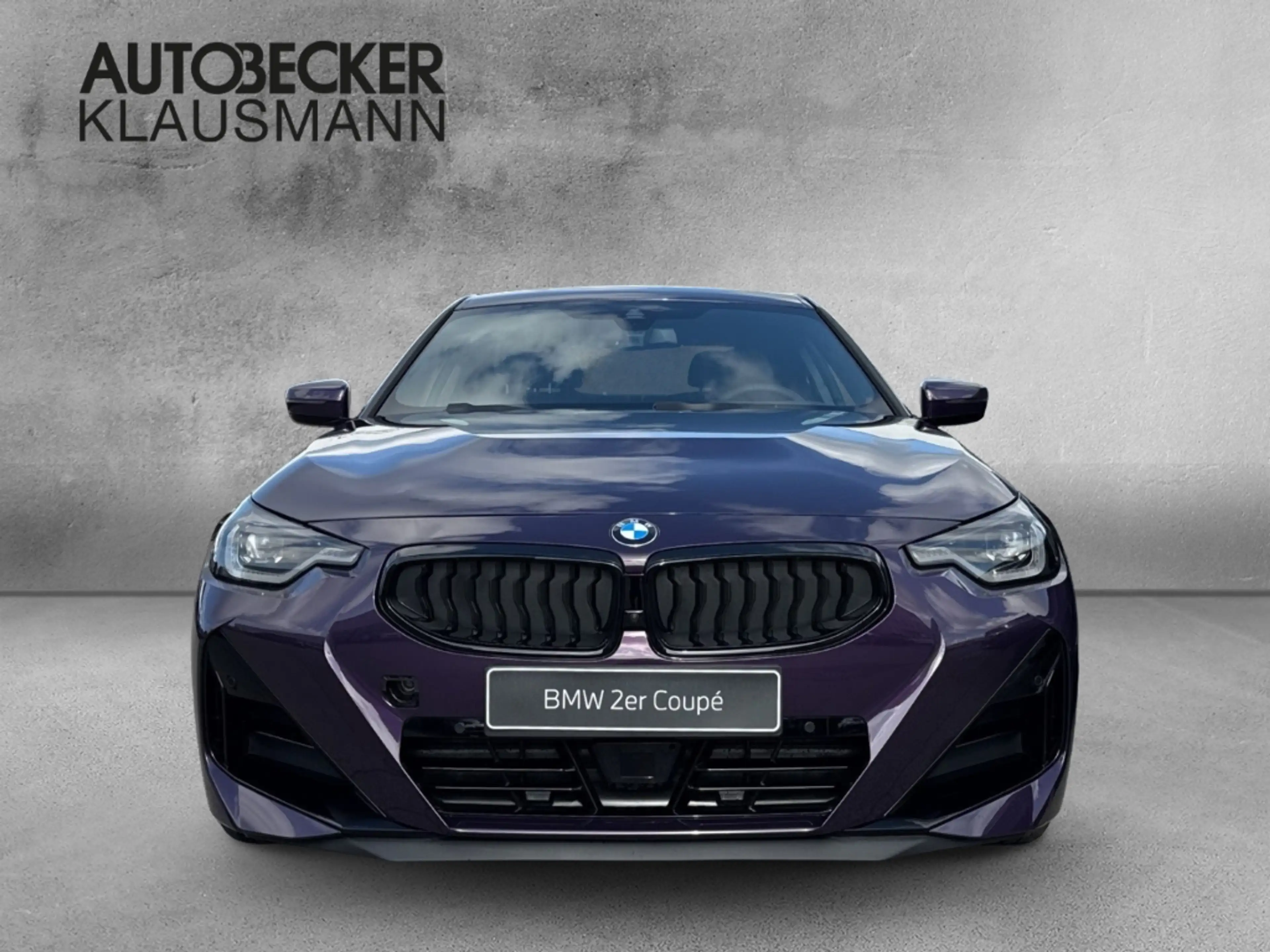 BMW 230 i Coupe M Sport Pro LMR 19'' HUD Navi Digitales Co — photo 5
