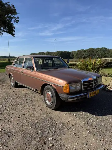 Mercedes-Benz 280 200-280 (W123) 250
