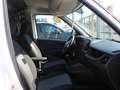 Fiat Doblo 1.3 MJT LOUNGE S&S AUTOCARRO +IVA Bianco - thumbnail 8
