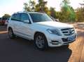 Mercedes-Benz GLK 220 GLK  4Matic.Vollleder.Bi-Xenon.Panoram. Weiß - thumbnail 3
