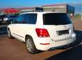 Mercedes-Benz GLK 220 GLK  4Matic.Vollleder.Bi-Xenon.Panoram. Weiß - thumbnail 4