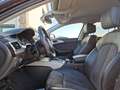 Audi A6 allroad 3.0TDI qua Alcantara MMI Plus AHK 19" Braun - thumbnail 12