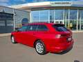 Volkswagen Golf VIII Variant 2.0 TDI Life * ACC * R.-KAMERA * NAVI Rot - thumbnail 7