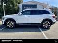 Mercedes-Benz GLB 250 GLB 250 Progressive 19" AHK Distronic 360° NP63 Blanco - thumbnail 7