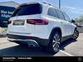 Mercedes-Benz GLB 250 GLB 250 Progressive 19" AHK Distronic 360° NP63 Blanco - thumbnail 5