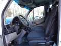 Mercedes-Benz Sprinter 316 CDI LANG;KLIMA:9 SITZE Blanc - thumbnail 11